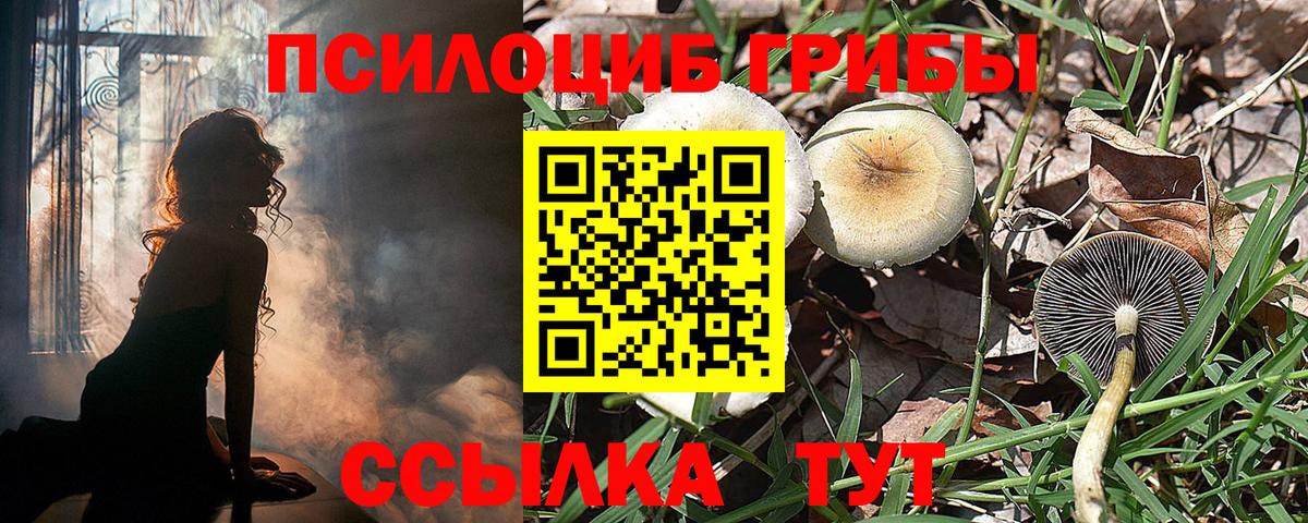 даркнет сайт  Псилоцибиновые грибы MAGIC MUSHROOMS  Вход с VPN  Краснодар  Псилоцибиновые грибы Magic Shrooms 