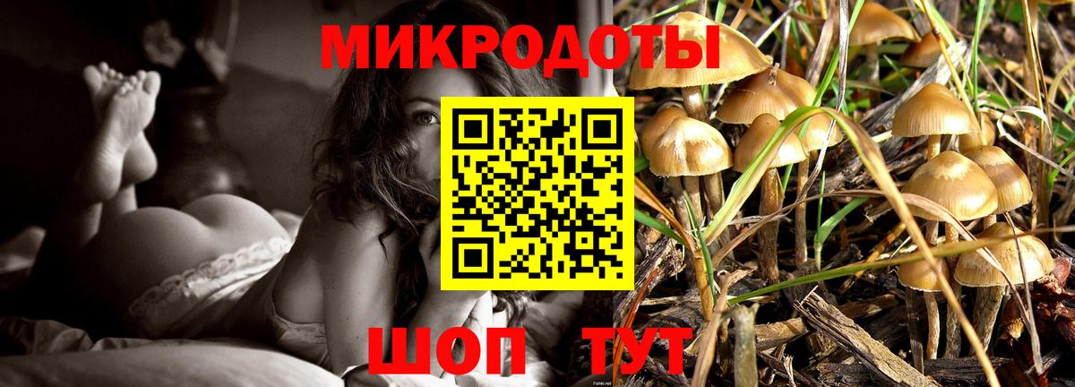 Галлюциногенные грибы Magic Shrooms Краснодар
