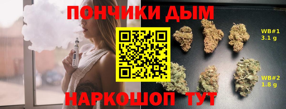 Каннабис сатива Краснодар